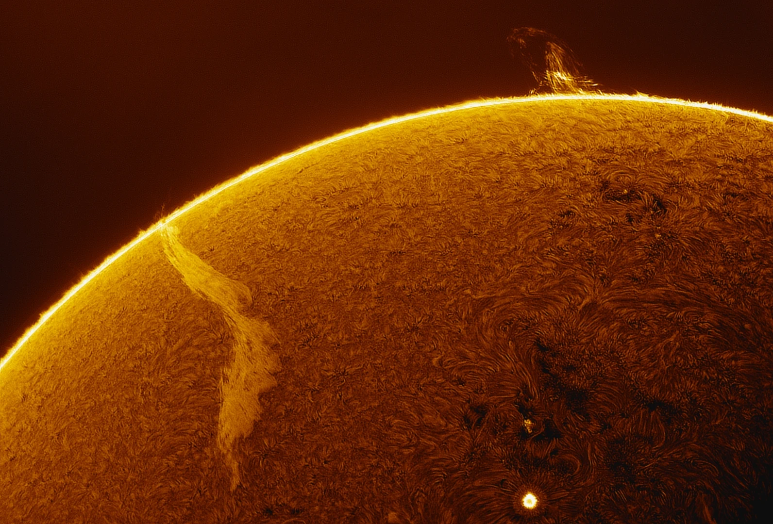 A long filament arcing across the solar disk near the limb