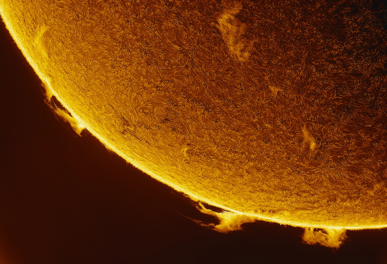 Prominences standing off the solar limb above dense surface texture