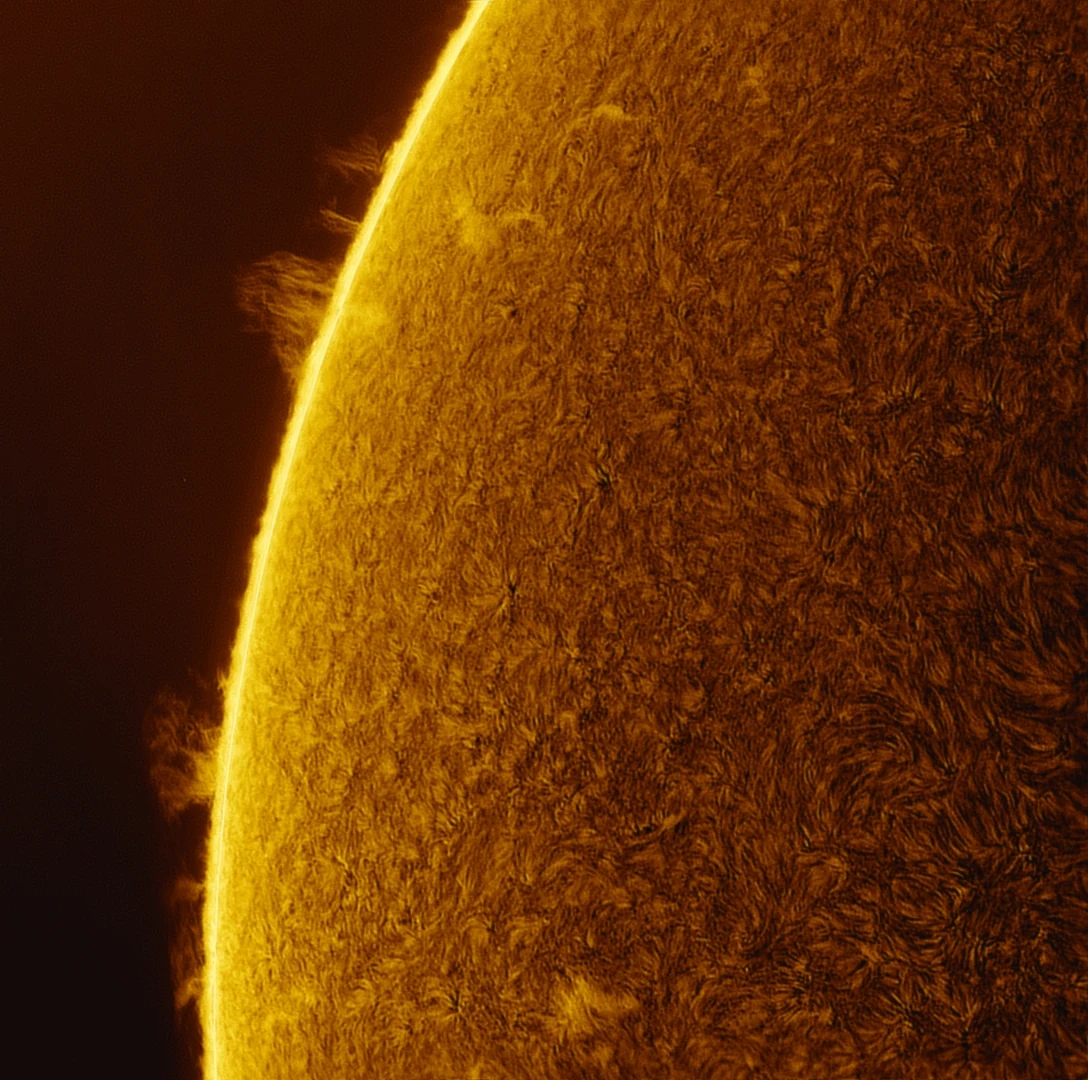 The solar limb with fine fibril texture across the disk and prominences at the edge