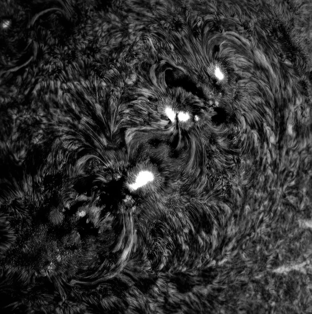 A monochrome active region showing bright plage and dark filaments